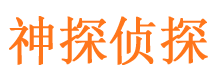 长武侦探调查公司